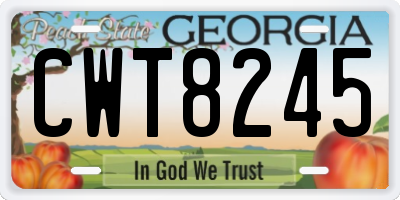 GA license plate CWT8245