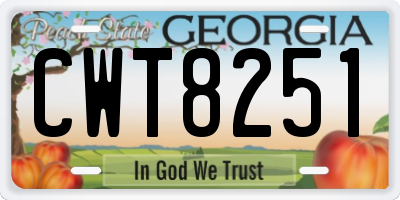 GA license plate CWT8251