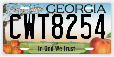 GA license plate CWT8254