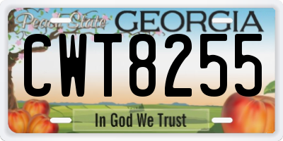 GA license plate CWT8255