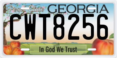 GA license plate CWT8256