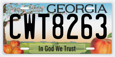 GA license plate CWT8263