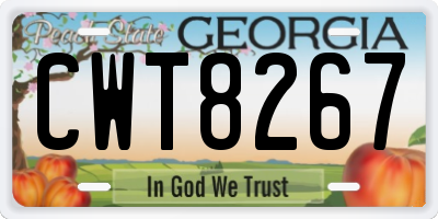 GA license plate CWT8267
