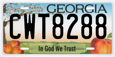 GA license plate CWT8288