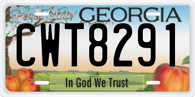 GA license plate CWT8291
