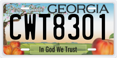 GA license plate CWT8301