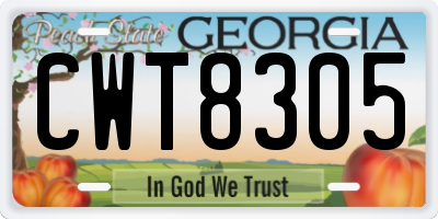 GA license plate CWT8305