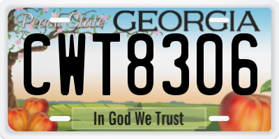 GA license plate CWT8306