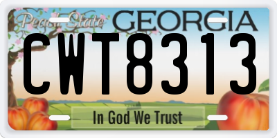 GA license plate CWT8313