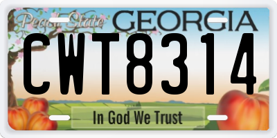 GA license plate CWT8314