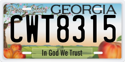 GA license plate CWT8315