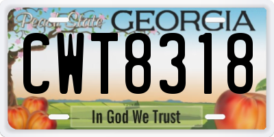 GA license plate CWT8318