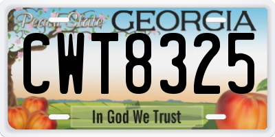 GA license plate CWT8325