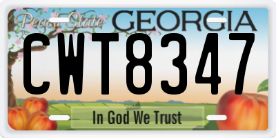GA license plate CWT8347