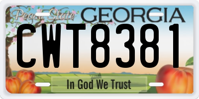 GA license plate CWT8381