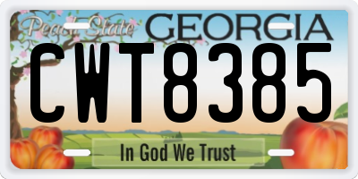 GA license plate CWT8385