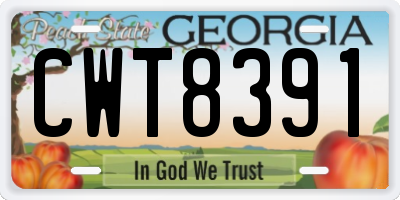 GA license plate CWT8391