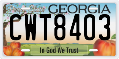 GA license plate CWT8403