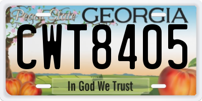 GA license plate CWT8405