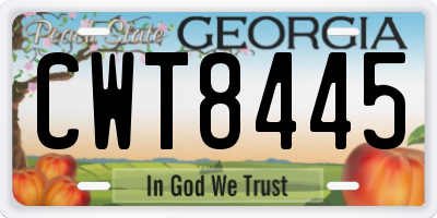 GA license plate CWT8445