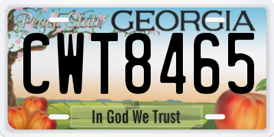 GA license plate CWT8465