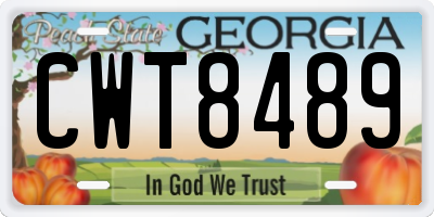 GA license plate CWT8489