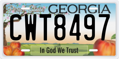 GA license plate CWT8497