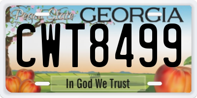 GA license plate CWT8499