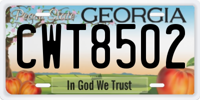GA license plate CWT8502