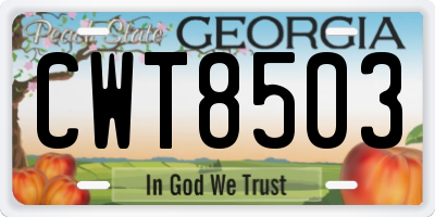 GA license plate CWT8503