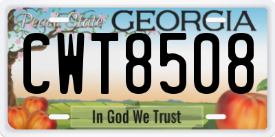GA license plate CWT8508