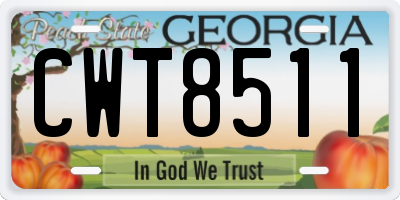 GA license plate CWT8511