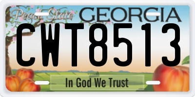GA license plate CWT8513