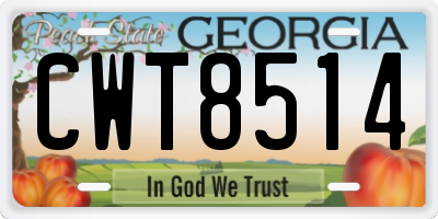 GA license plate CWT8514