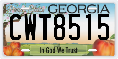 GA license plate CWT8515