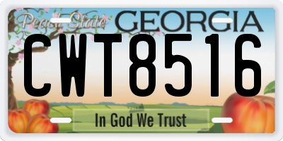 GA license plate CWT8516