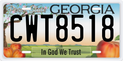 GA license plate CWT8518