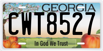 GA license plate CWT8527
