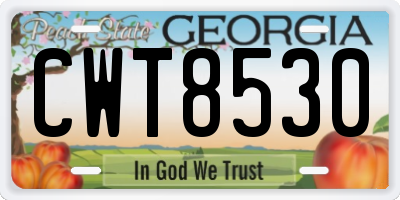 GA license plate CWT8530