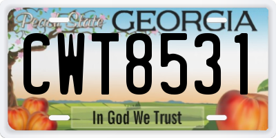 GA license plate CWT8531