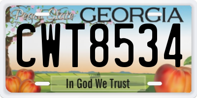 GA license plate CWT8534