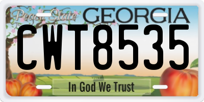 GA license plate CWT8535