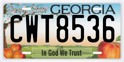 GA license plate CWT8536