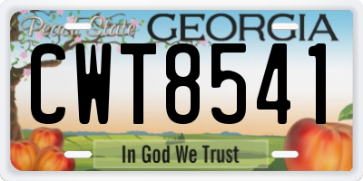 GA license plate CWT8541