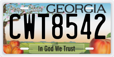 GA license plate CWT8542
