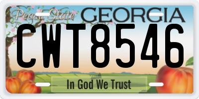 GA license plate CWT8546