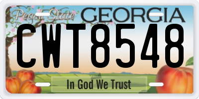 GA license plate CWT8548