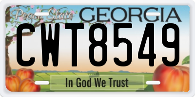 GA license plate CWT8549