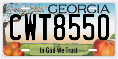 GA license plate CWT8550