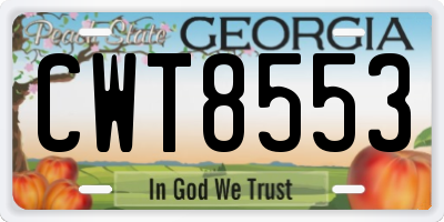 GA license plate CWT8553
